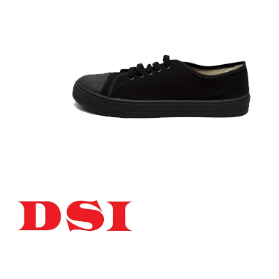 dsi casual shoes